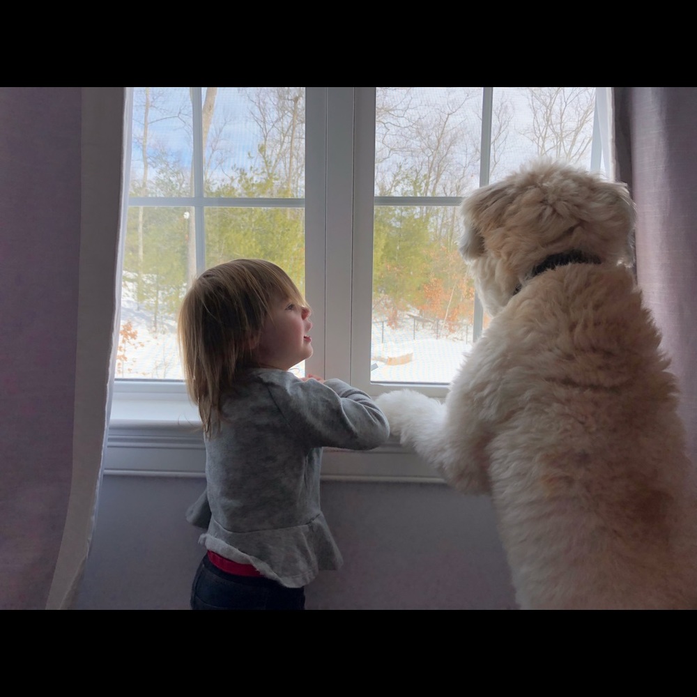 Meet your Posher, Kelly